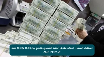 استقرار السعر.. الدولار مقابل الجنيه المصري يتأرجح بين 48.05 و48.22 جنيه في البنوك اليوم